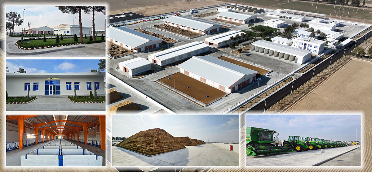 Hormatly Prezidentimiziň gatnaşmagynda täze maldarçylyk toplumy işe girizildi